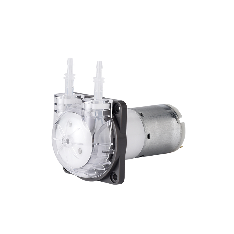 PENGPU Micro-peristaltische po - Mini Peristaltic Pump 12V recensie en prijs
