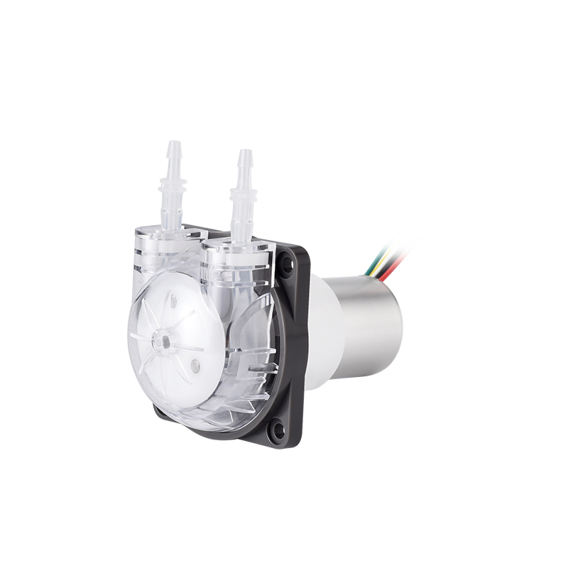 PENGPU Micro-peristaltische po - Mini Peristaltic Pump 12V recensie en prijs
